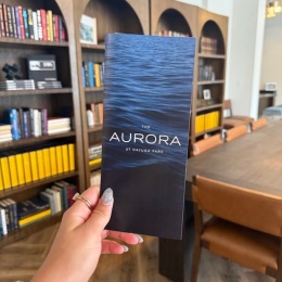 a person holding a pamphlet