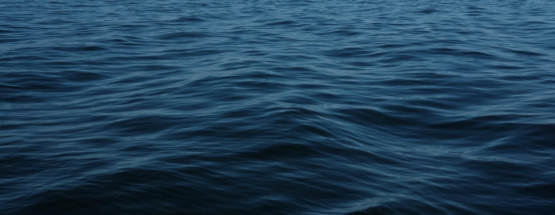 a body of water with waves